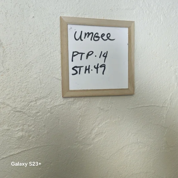 Umgee Women Dress Stevie Nicks Floral  Cottagecore Belle Sleeve High Low Midi Md - Picture 4 of 9